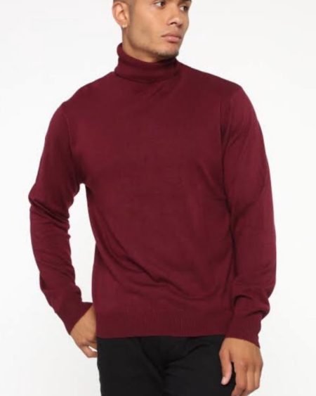 Men's Turtle Neck Wear