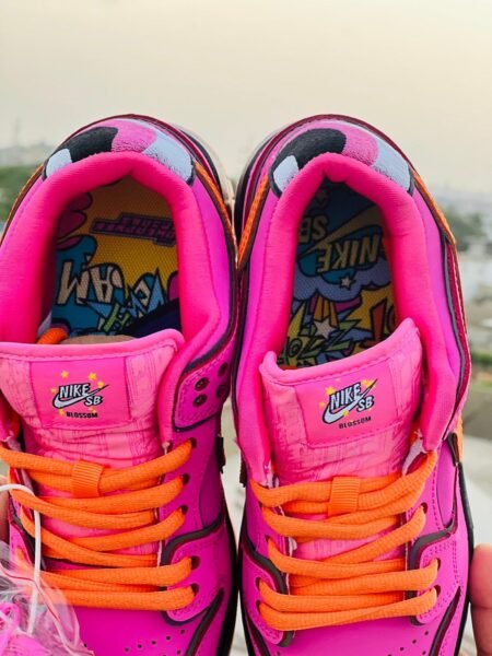 Nike SB Dunk Low Pro Blossom in pink color EUR 36–41.